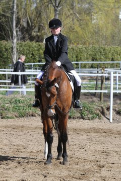Bild 450 - WBO-Turnier am 9.4.11